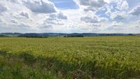 Landschaft Windischeschenbach