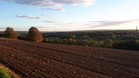 NEW-Blick nach Weiden-3