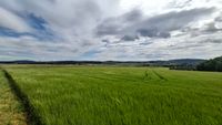 Blick zum Steinwald